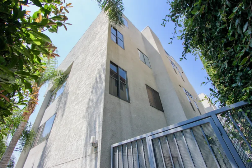 Awesome side shoot of 1021 Westmount and her surrounding eco friendly trees, Westwood, California