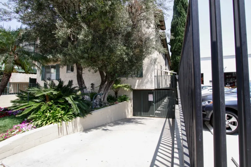 The landscaping seen around 1112 Olive Drive