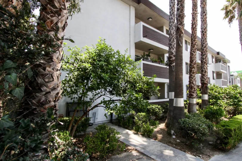 The landscaping around 1124 N La Cienega