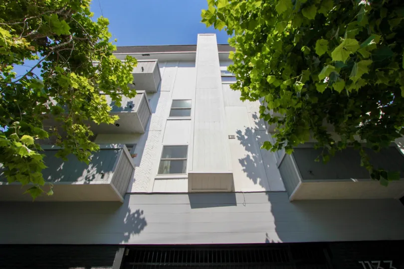 1133 Clark and her nice walls and trees, West Hollywood, California