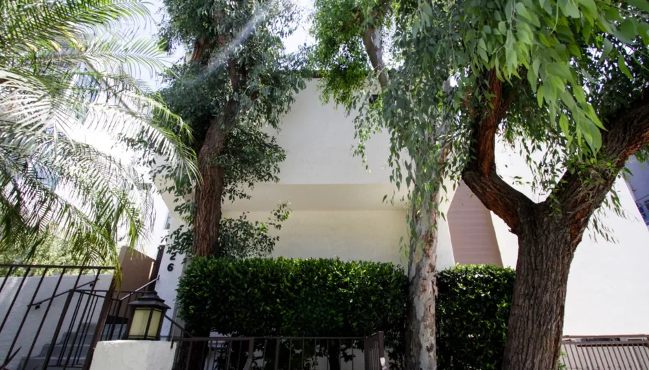 The hedges around 1226 N Kings