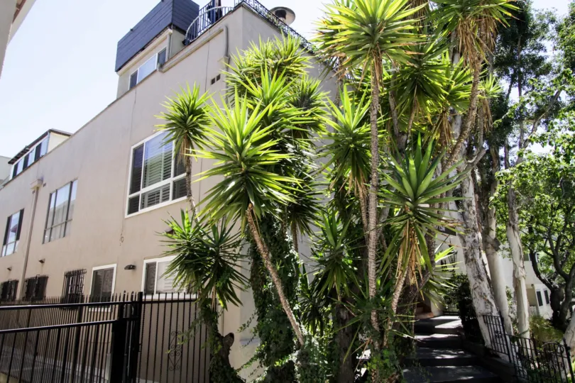 The landscaping seen around 1260 N Kings