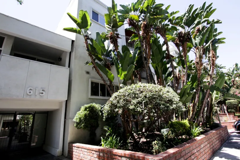The greenery seen at 625 N Flores in West Hollywood