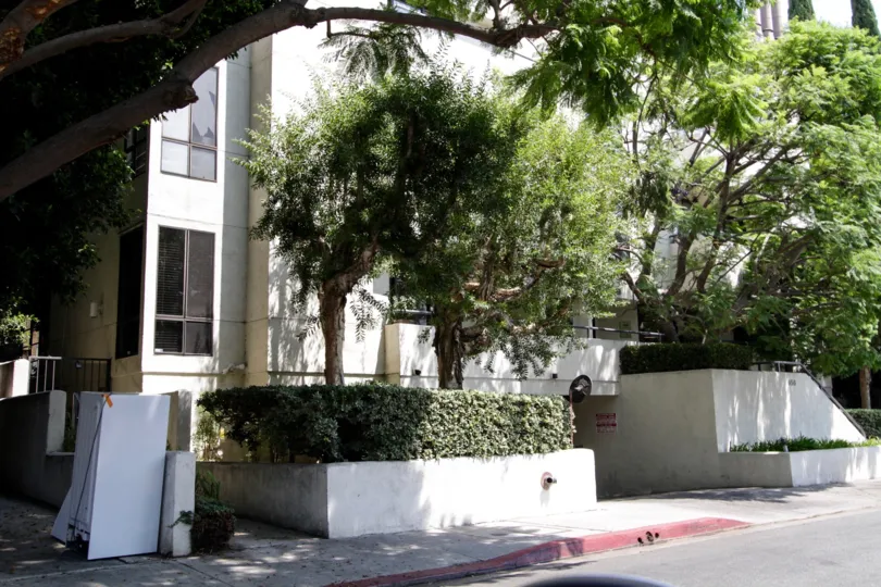 The trees surrounding 656 West Knoll
