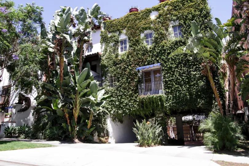 The greenery that has grown onto the 7 Fountains building in West Hollywood
