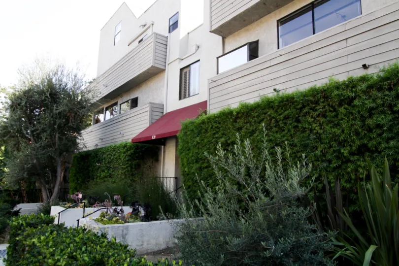 The hedges around 839 Larrabee in West Hollywood