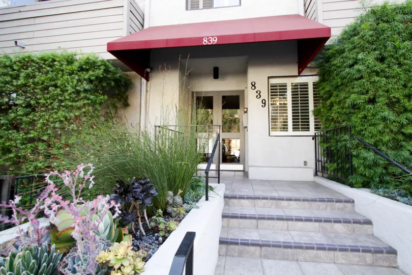 The landscaping around 839 Larrabee in West Hollywood