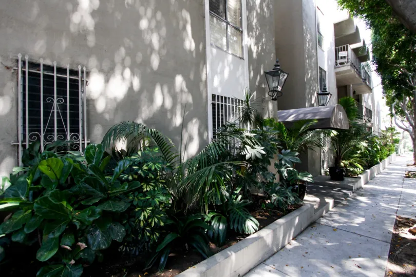 The landscaping around 874 Hammond