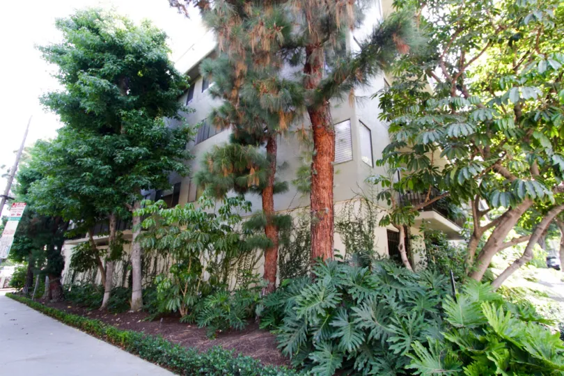 The landscaping around 9000 Cynthia in West Hollywood