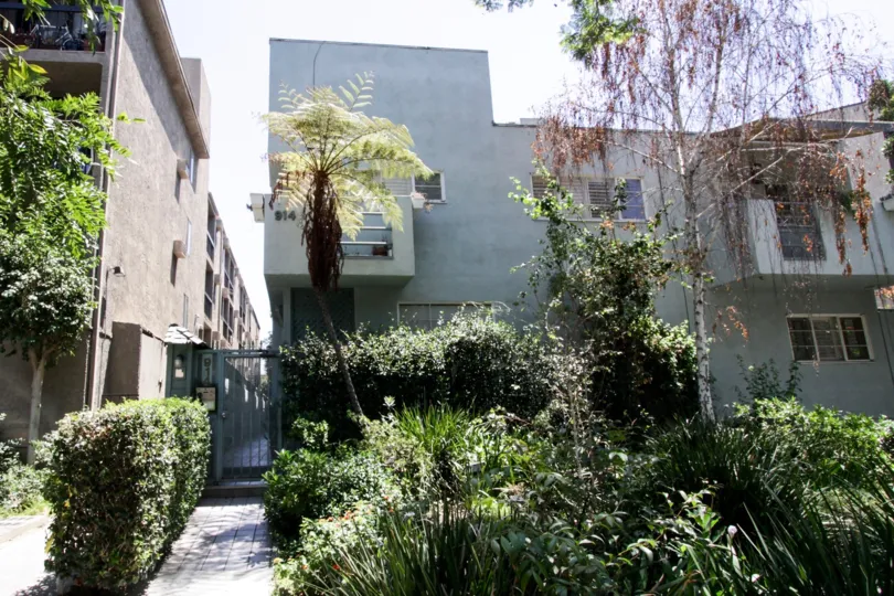 The landscaping seen at 914 Kings in West Hollywood