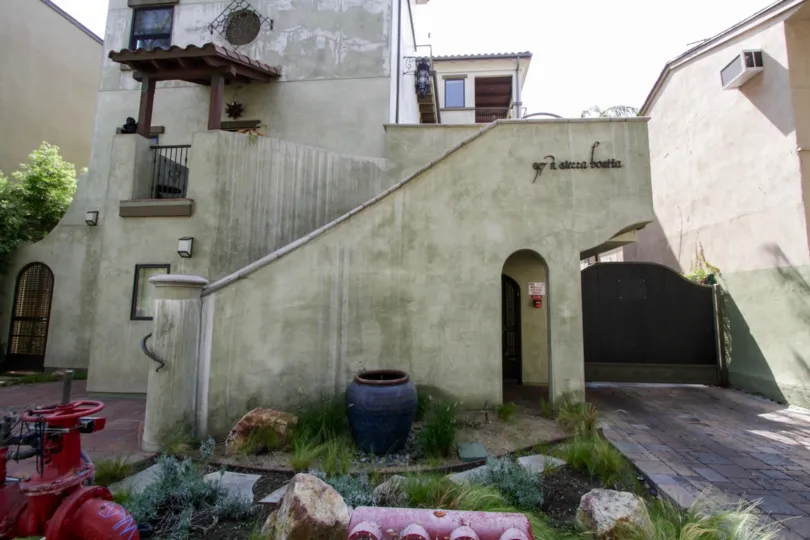 The landscaping around 917 Sierra Bonita in West Hollywood