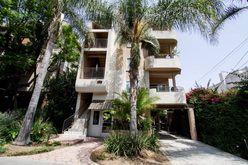 The drive into 924 N Palm