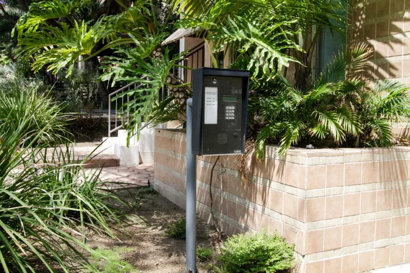 The landscaping around 924 N Palm