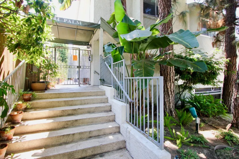 Steps and trees at entrance to 944 Palm in West Hollywood, California