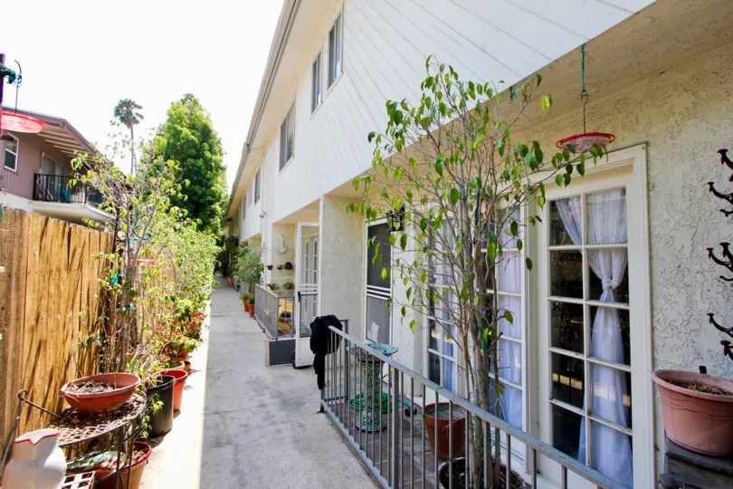 944 Palm and her beautiful walkway, West hollywood, California