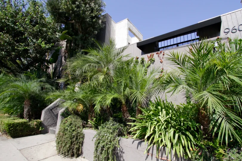 The landscaping at 960 N San Vicente
