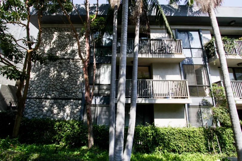 The landscaping around Alta Loma West located in West Hollywood
