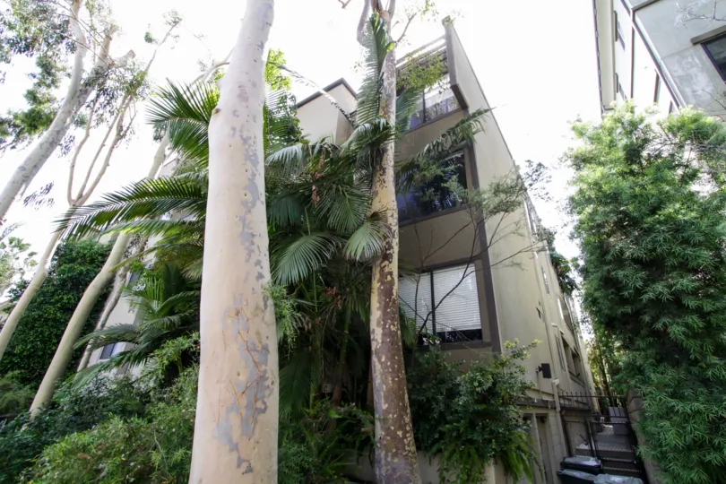 The landscaping seen throughout Bonita Evergreen in West Hollywood
