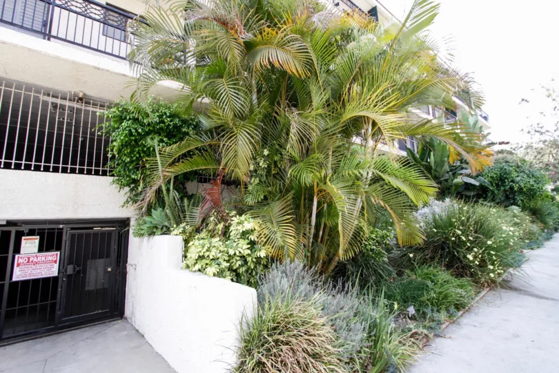 The landscaping around Bonita Villas in West Hollywood