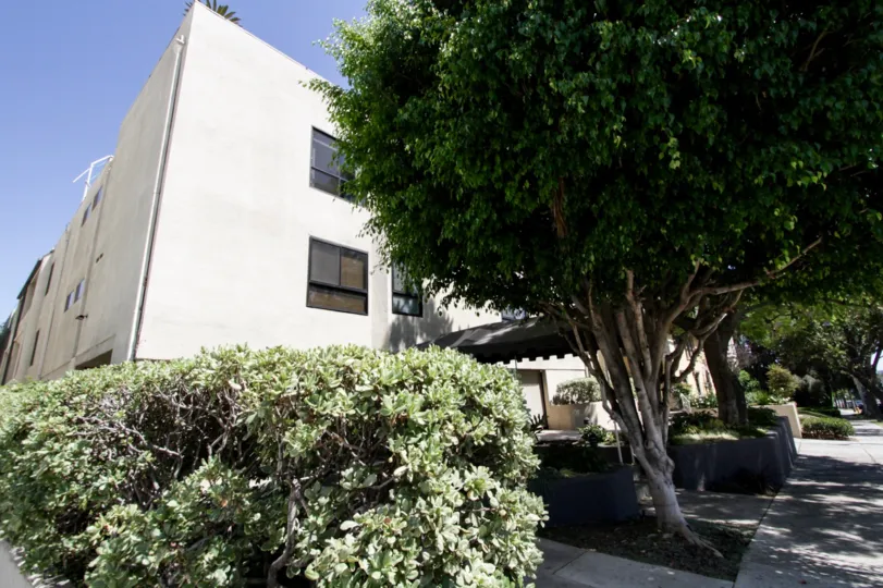 The landscaping of De Voltaire in West Hollywood