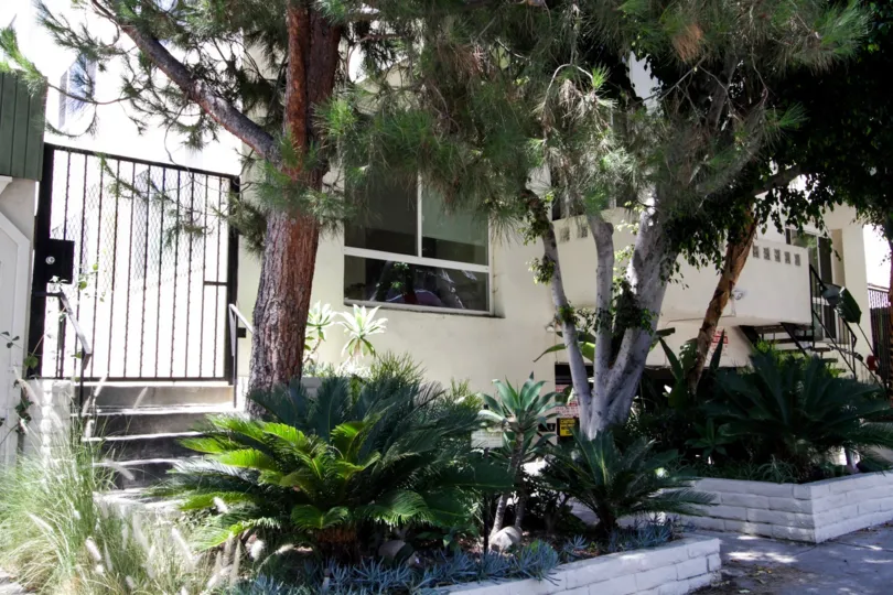 The landscaping around Flores Palace