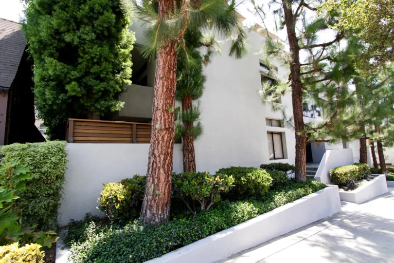 The landscaping around Hancock Avenue in West Hollywood
