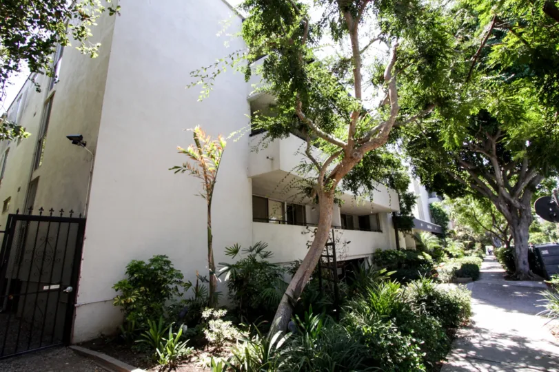 The landscaping seen around Kings Plaza in West Hollywood