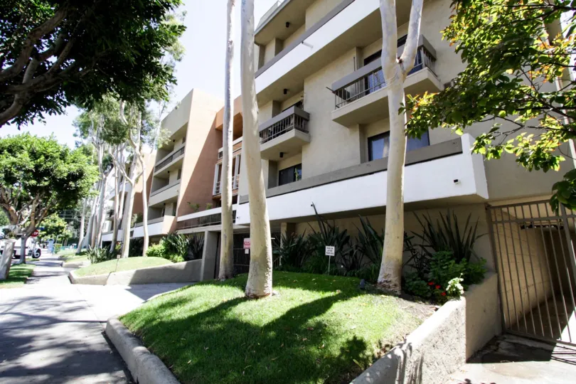 The yard in front of Kings Villas