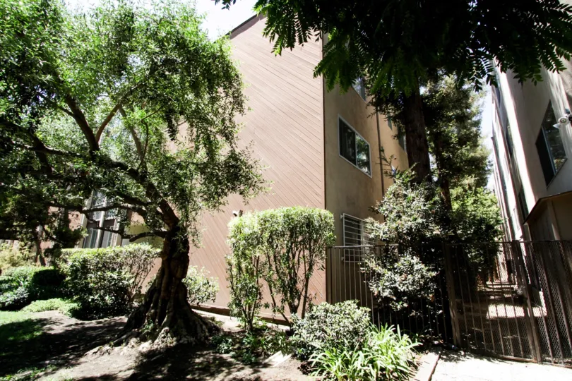 The landscaping of Kingswood South in West Hollywood