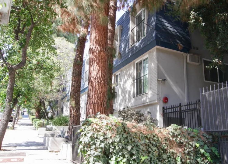 The landscaping around Larrabee Spa in West Hollywood