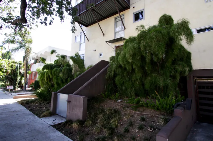 The landscaping around Laurel Court Lofts