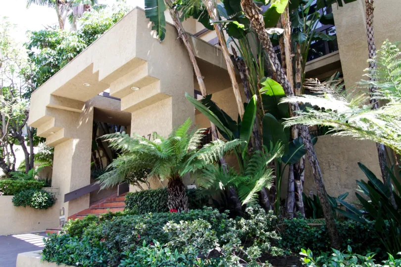 The landscaping around Nob Hill in West Hollywood