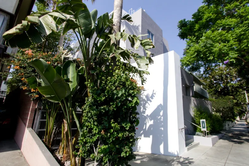 The landscaping around Norton Court