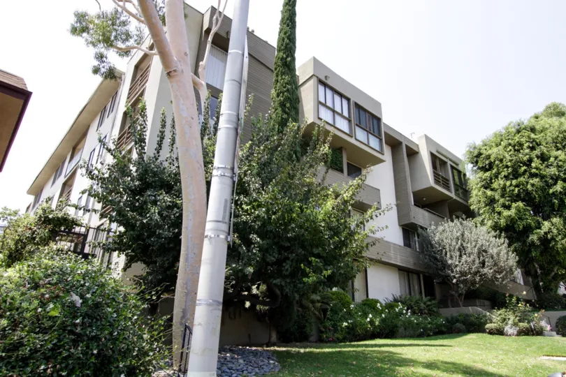 The landscaping around Olive Executive Townhomes