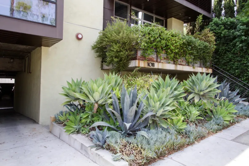 The landscaping around Orange Grove Lofts