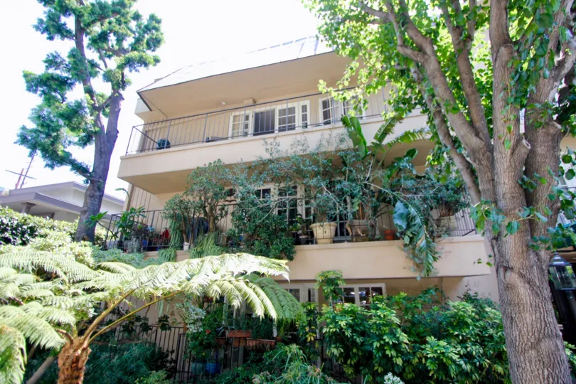 amazing Palm Hancock and her super cool green plants, West Hollywood, California