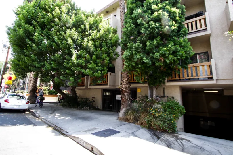The landscaping around Palm Terrace West Hollywood
