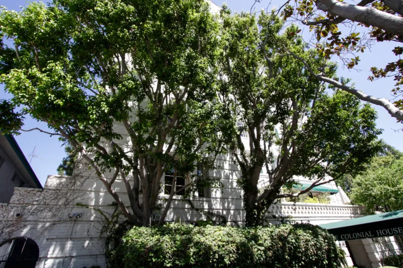 The landscaping seen around The Colonial House