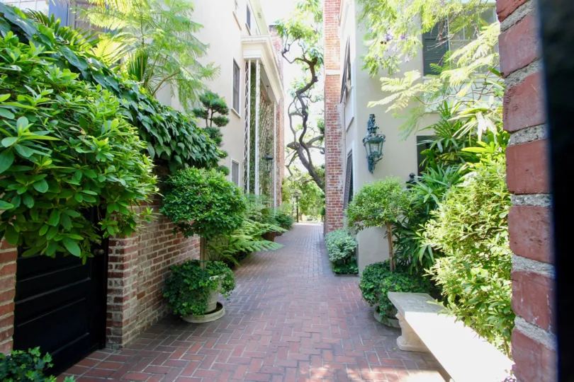 Narrow street among large homes in The Shoreham, west hollywood