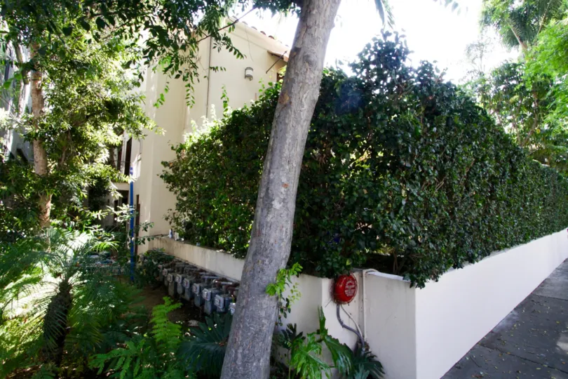 The landscaping at the Villa Cynthia