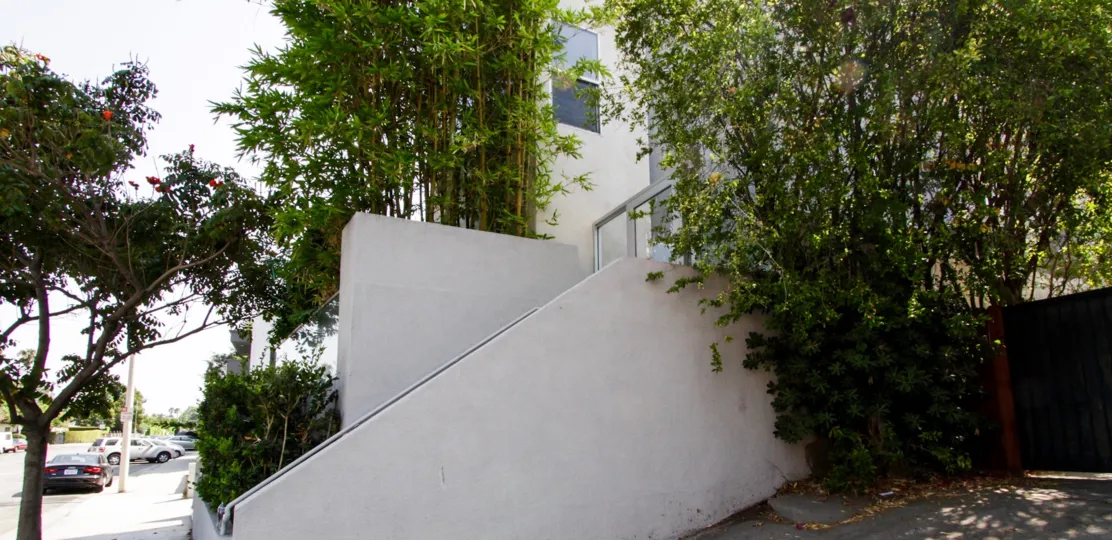 The trees around the Vista Courtyard