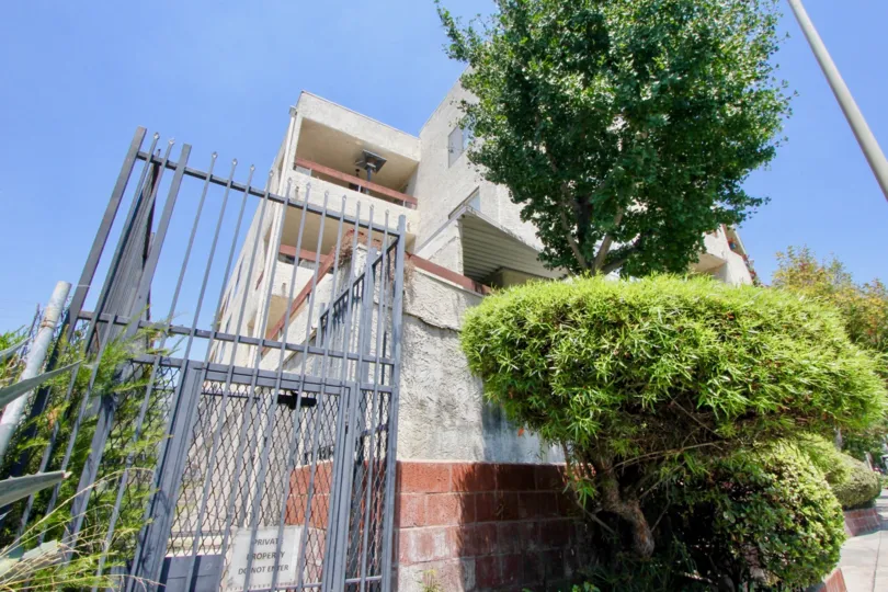 The sun kissed bushes and iron gates at Vista Towers in West Hollywood.