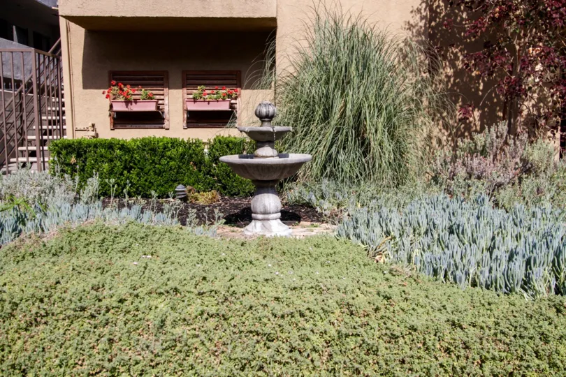 The landscaping around the Vista Townhomes