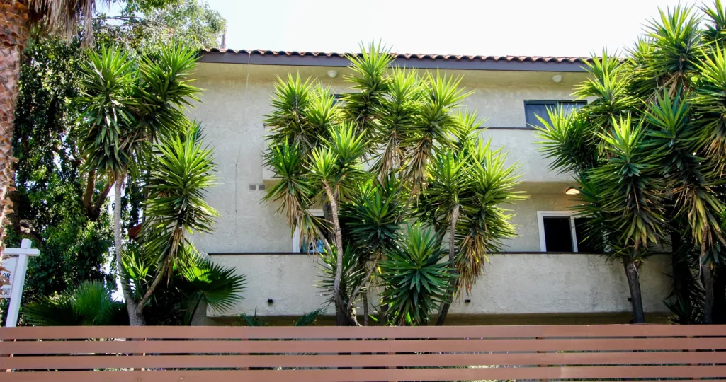 Side of 11574 Ohio community with trees and fence in West LA, CA.