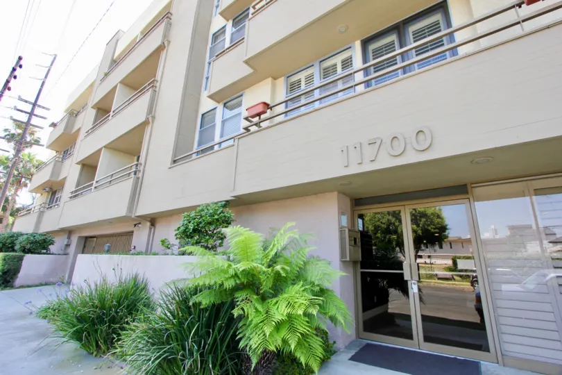 A side walk and bright green shrubbery at 11700 Iowa in West LA, California.