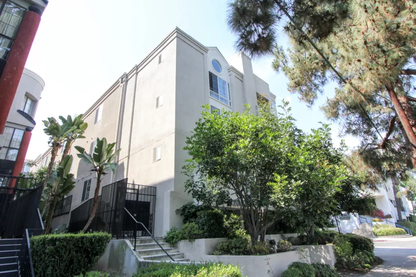 Very serene View of 12203 Idaho with her beautiful trees, West La, california