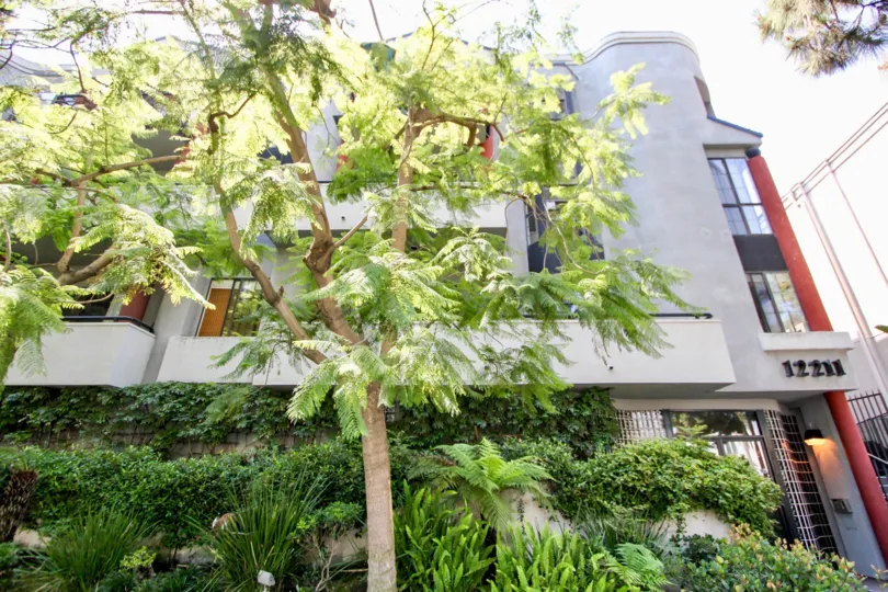 A BUILDING LOCATED AT ALONE AND TWO FLOORS WITH CONTRAST COLOURS WITH MORE GREEN PLANTS AT SUNSHINE TIME