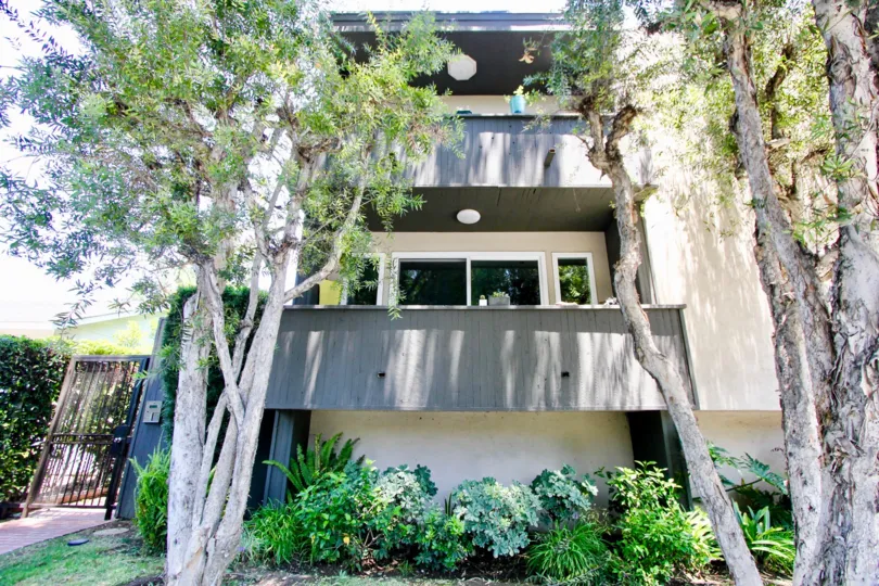 building with trees in a sunny day in 1312 Centinela