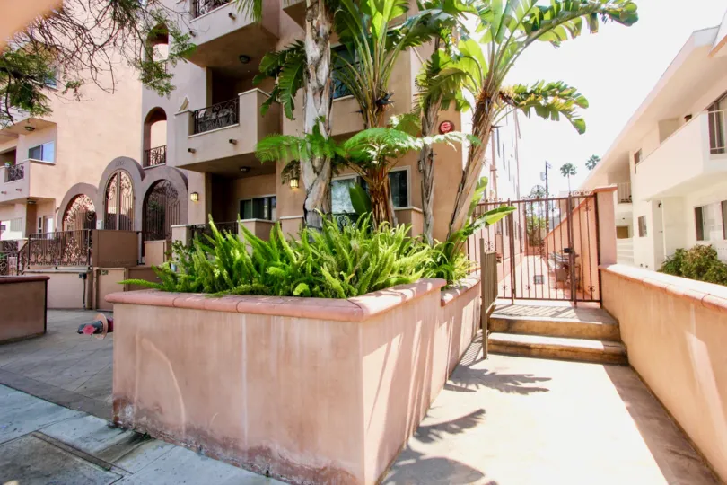 a sunny day in front of 1629 armacost house banana trees standing nice