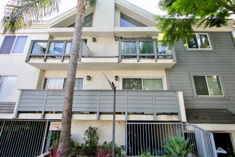 1741 Granville community shaded by a palm tree with stairs and plants.